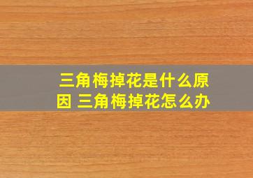 三角梅掉花是什么原因 三角梅掉花怎么办